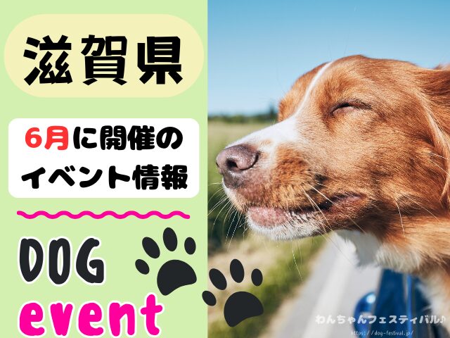 関西　犬イベント　一覧　開催場所　日程　2026　6月　大阪府　京都府　兵庫県　奈良県　滋賀県　和歌山県
