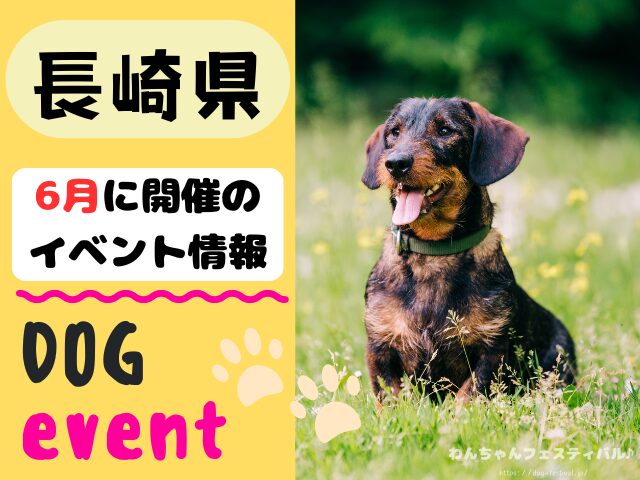犬イベント　九州　福岡県　佐賀県　長崎県　熊本県　大分県　宮崎県　鹿児島県　2026年　6月