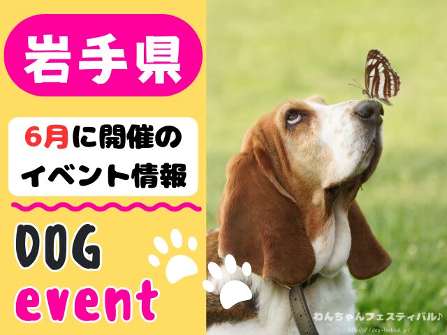 犬イベント　東北地方　青森県　岩手県　秋田県　宮城県　山形県　福島県　2026年　6月