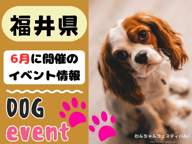 犬イベント　北陸地方　新潟県　富山県　石川県　福井県　2026年　6月