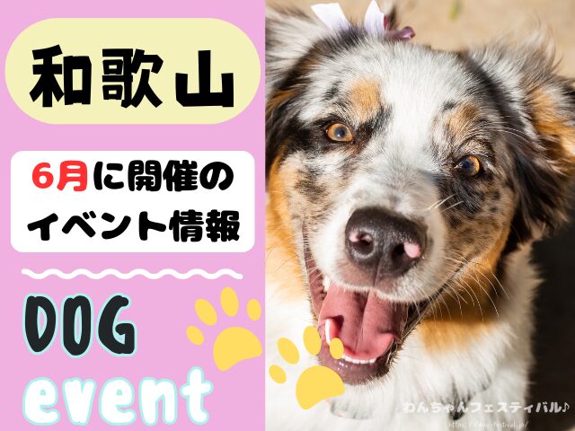関西　犬イベント　一覧　開催場所　日程　2026　5月　大阪府　京都府　兵庫県　奈良県　滋賀県　和歌山県