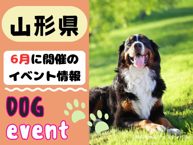 犬イベント　東北地方　青森県　岩手県　秋田県　宮城県　山形県　福島県　2026年　6月