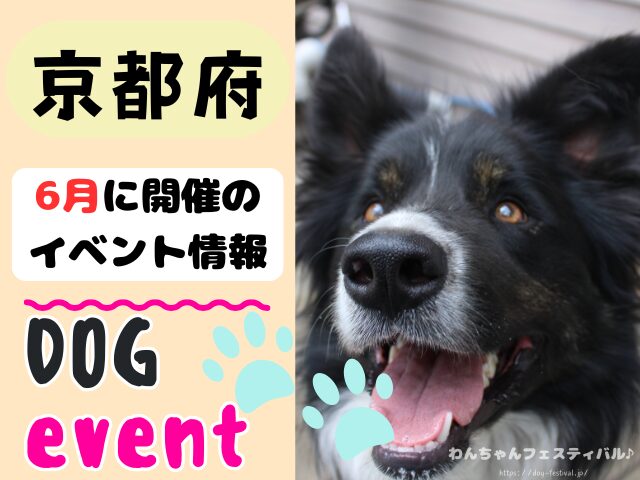 関西　犬イベント　一覧　開催場所　日程　2026　6月　大阪府　京都府　兵庫県　奈良県　滋賀県　和歌山県