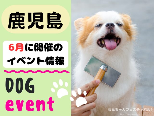 犬イベント　九州　福岡県　佐賀県　長崎県　熊本県　大分県　宮崎県　鹿児島県　2026年　6月