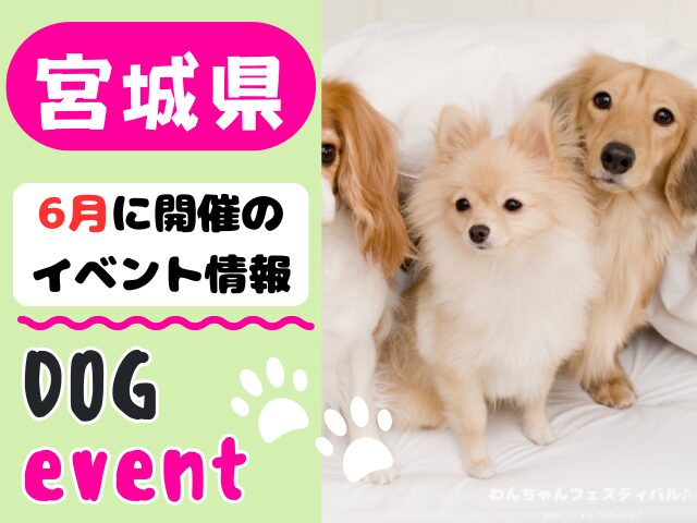 犬イベント　東北地方　青森県　岩手県　秋田県　宮城県　山形県　福島県　2026年　6月