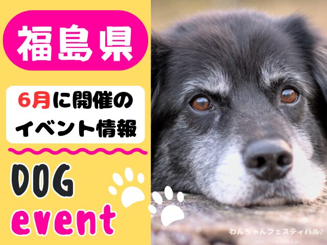 犬イベント　東北地方　青森県　岩手県　秋田県　宮城県　山形県　福島県　2026年　6月