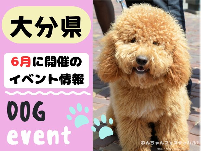 犬イベント　九州　福岡県　佐賀県　長崎県　熊本県　大分県　宮崎県　鹿児島県　2026年　6月
