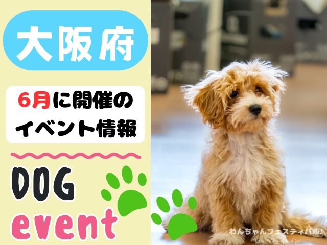 関西　犬イベント　一覧　開催場所　日程　2026　6月　大阪府　京都府　兵庫県　奈良県　滋賀県　和歌山県