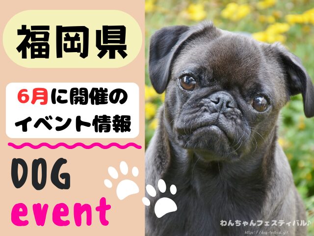 犬イベント　九州　福岡県　佐賀県　長崎県　熊本県　大分県　宮崎県　鹿児島県　2026年　6月