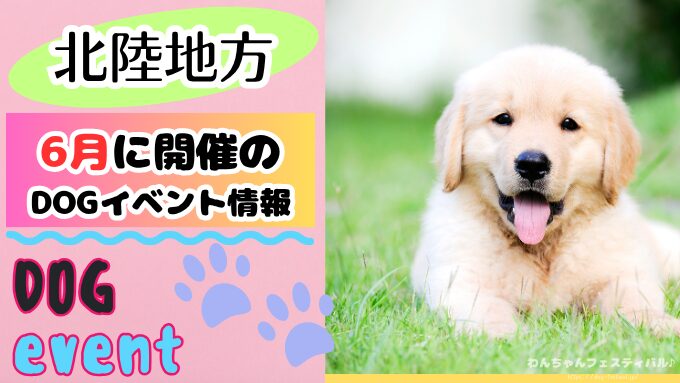 【北陸地方】6月の犬イベント一覧！開催場所と日程を知って楽しもう！
