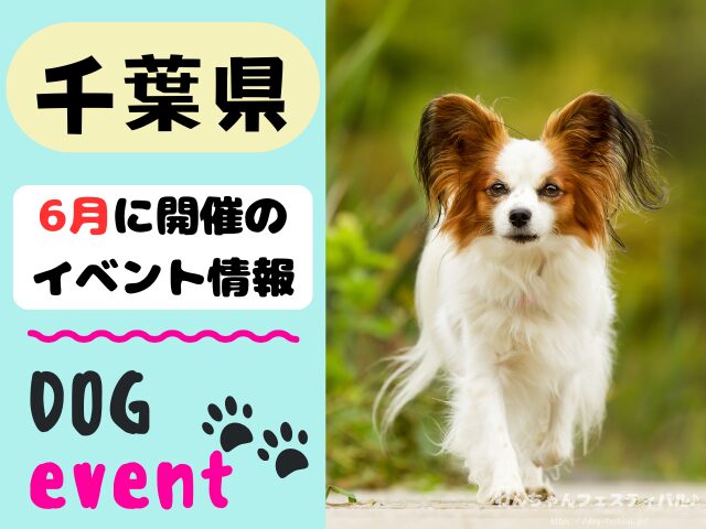 犬イベント　関東地区　東京都　千葉県　神奈川県　埼玉県　群馬県　栃木県　茨城県　2026年　6月