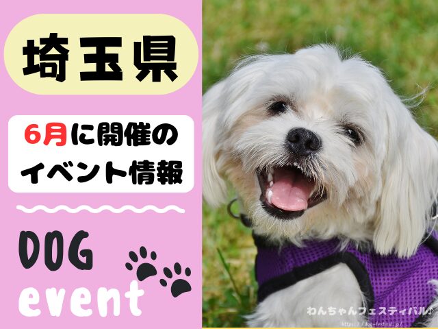 犬イベント　関東地区　東京都　千葉県　神奈川県　埼玉県　群馬県　栃木県　茨城県　2026年　6月