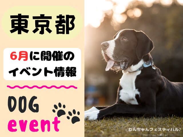 犬イベント　関東地区　東京都　千葉県　神奈川県　埼玉県　群馬県　栃木県　茨城県　2026年　6月