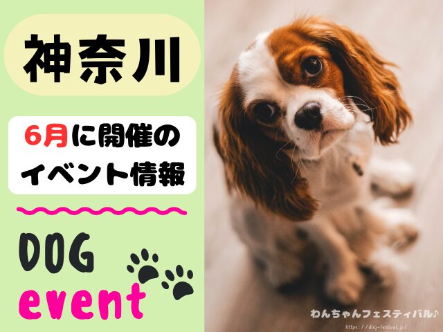 犬イベント　関東地区　東京都　千葉県　神奈川県　埼玉県　群馬県　栃木県　茨城県　2026年　6月