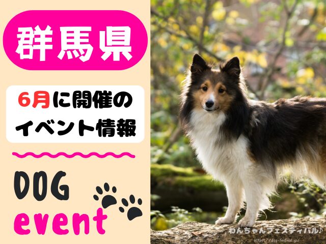 犬イベント　関東地区　東京都　千葉県　神奈川県　埼玉県　群馬県　栃木県　茨城県　2026年　6月