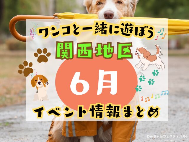 関西　犬イベント　一覧　開催場所　日程　2026　5月　大阪府　京都府　兵庫県　奈良県　滋賀県　和歌山県